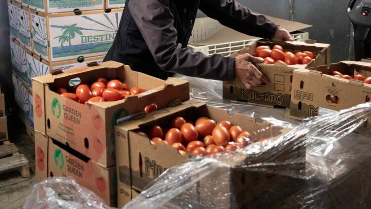 Boxes of fresh tomatoes organized in a restaurant cold storage room